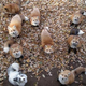 Image for article titled You Can Experience Fox Heaven in Japan